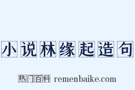 小说林缘起造句是什么意思的图片